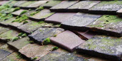 Alfriston roof repair costs
